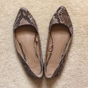 Leopard Express Flats
